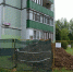 Сиреневый поправят - Городской ритм