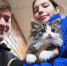 Всем по коту - Городской ритм